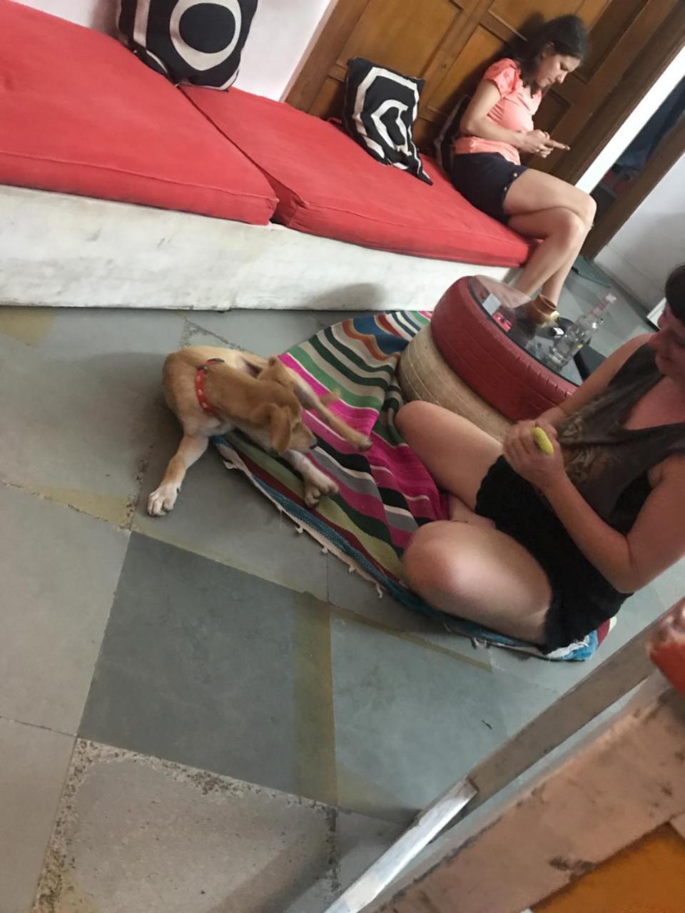 Doodle Rack Hostel Τζαϊπούρ Εξωτερικό φωτογραφία