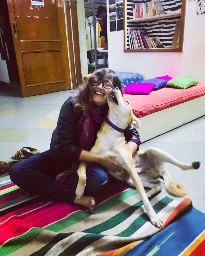 Doodle Rack Hostel Τζαϊπούρ Εξωτερικό φωτογραφία